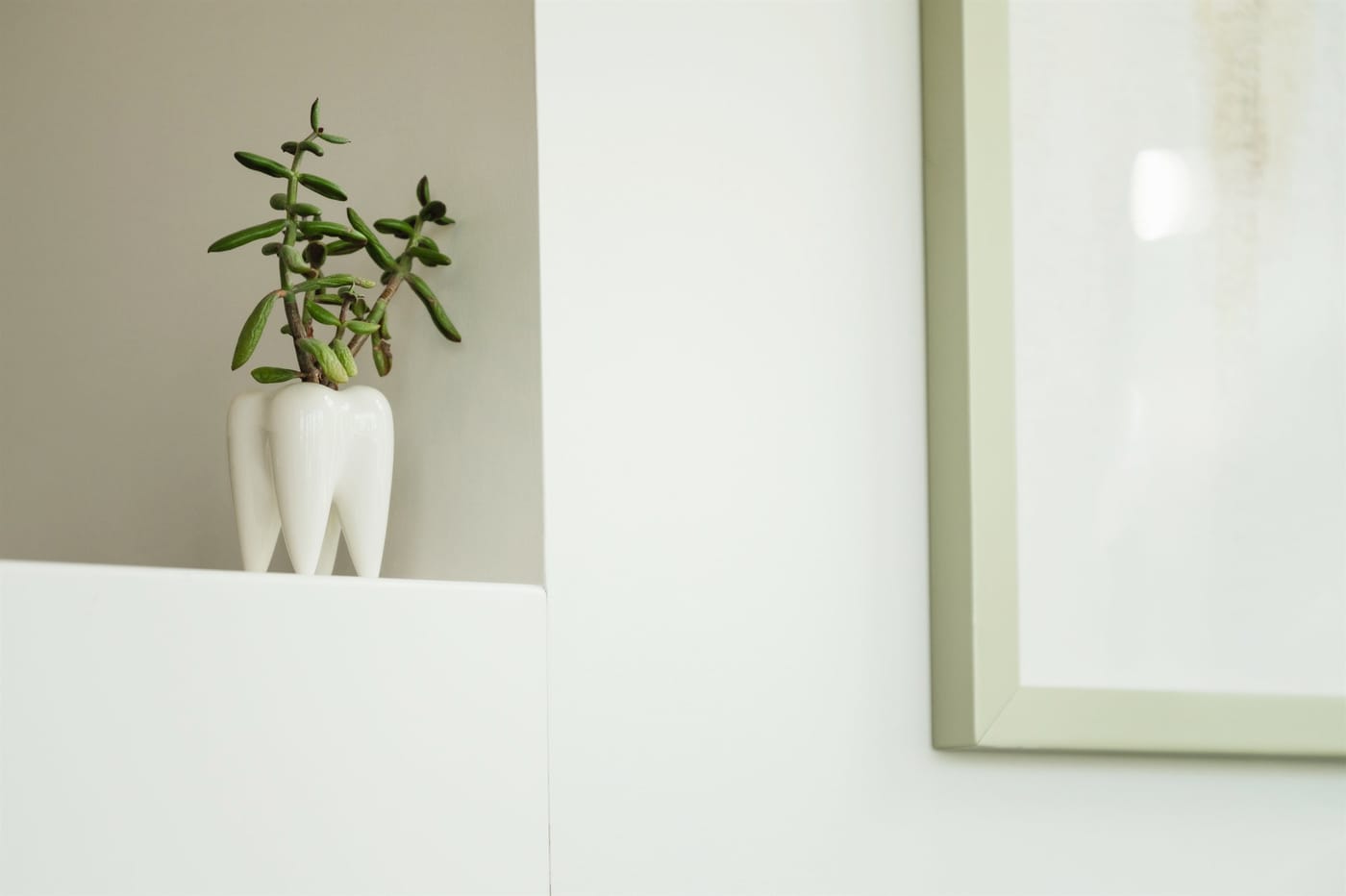 A tooth-shaped vase on a side table